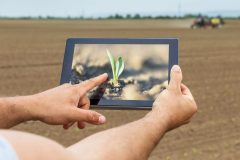 Smart agriculture. Farmer using tablet corn planting. Modern Agriculture concept.