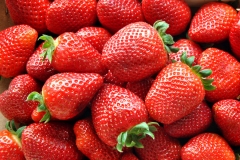 strawberrys